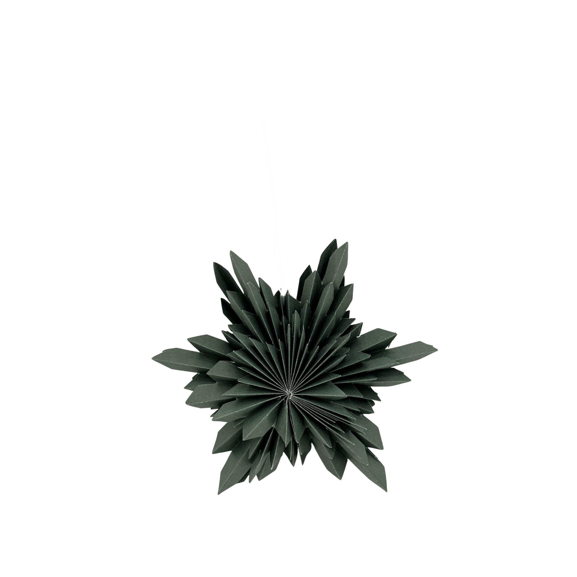 Celina Papieranhänger